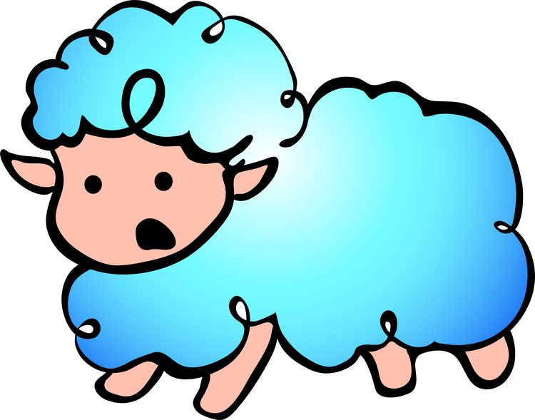 sadie sheep collection