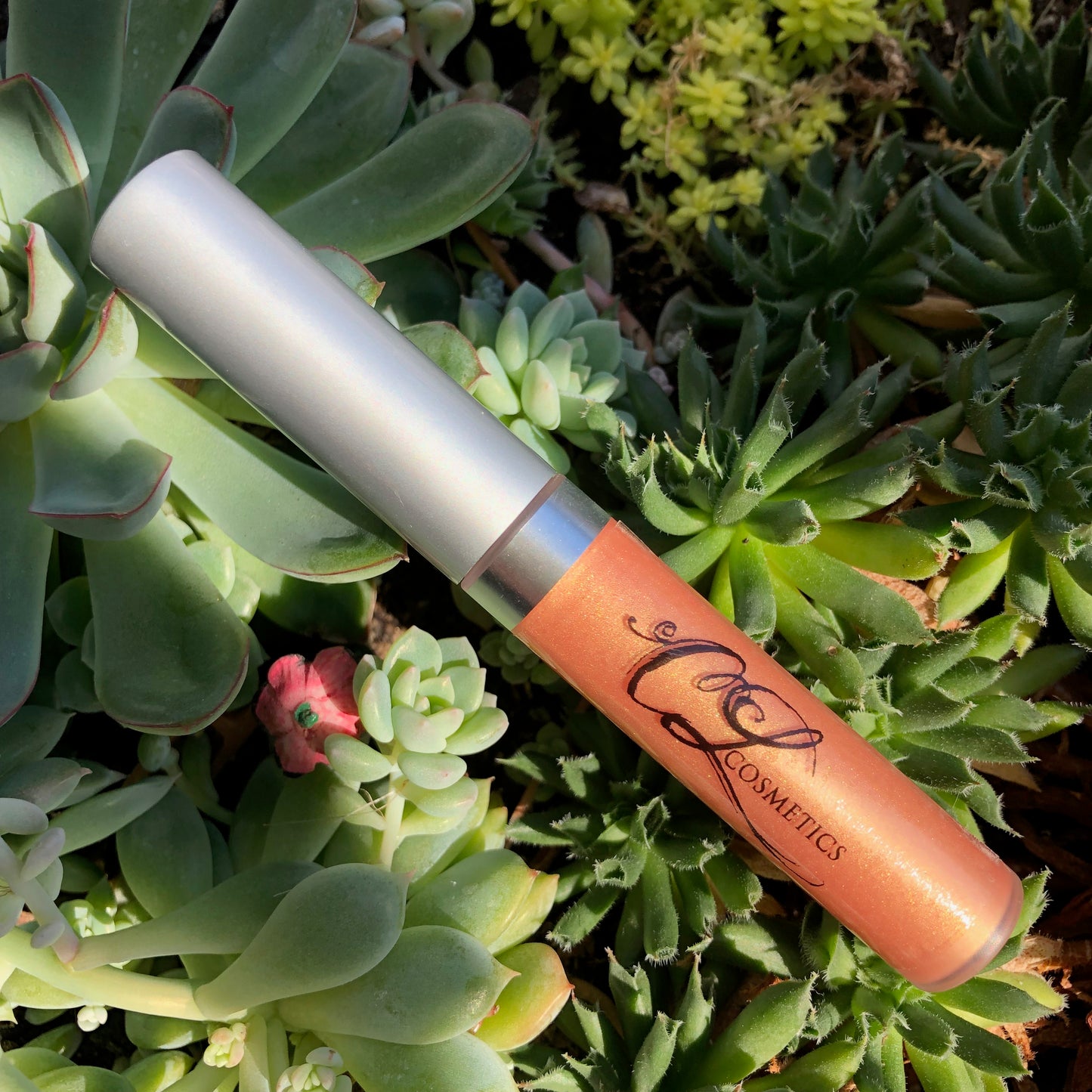 Bellisimo Lip Gloss