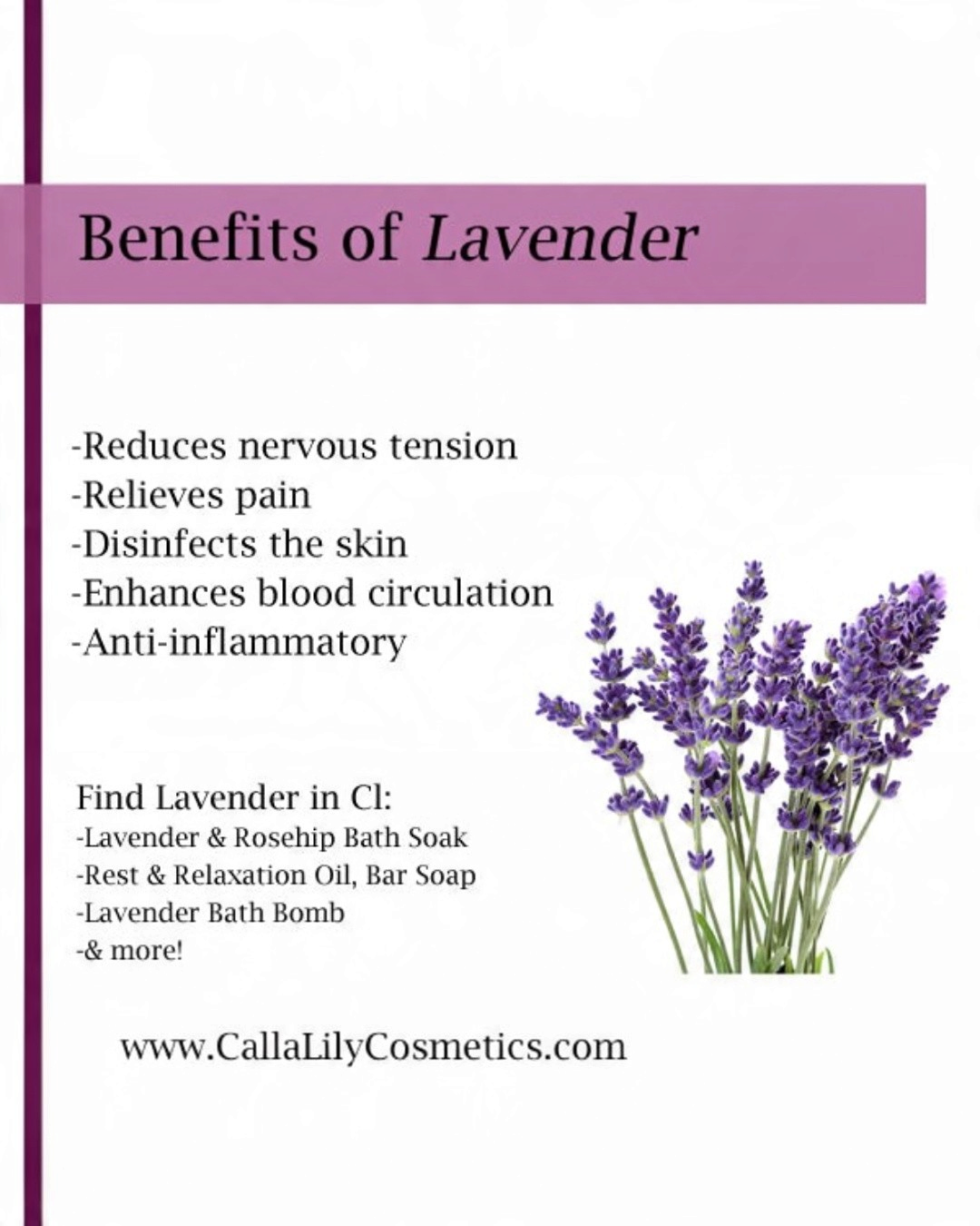 Calla Lily Cosmetics + CL kids informational graphic about the benefits of lavender for skin and relaxation
