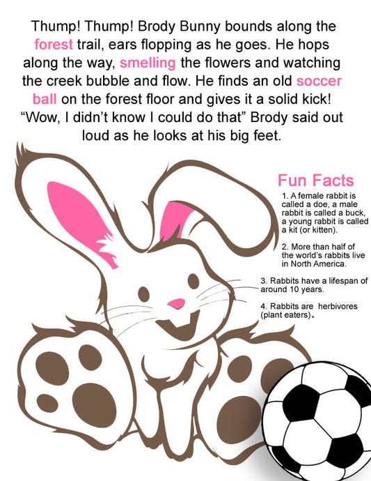 Brody Bunny's Fantastic Coloring Sheet