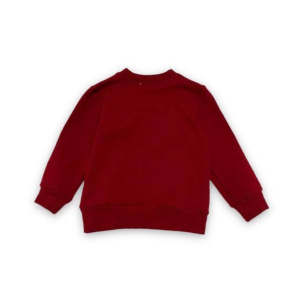 Red sweatshirt on a white background