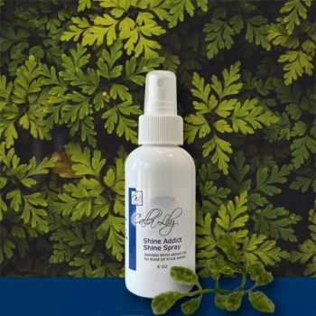 Shine Addict Spray | Calla Lily Cosmetics