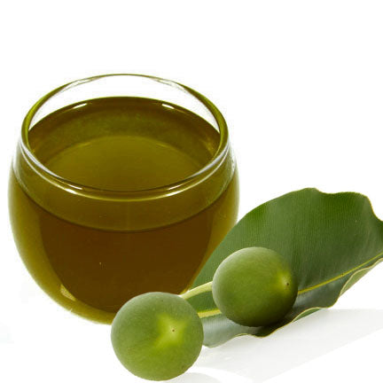 What is Tamanu Oil?