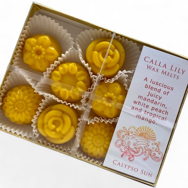 Calypso Sun Pack of 9 Wax Melts