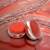 Two red orange tigers blood bath cookies against a red orange watery background