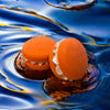 Two orange milo monkey bath cookies against a blue watery background