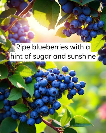 Ripe blueberries with green leaves and a bright background