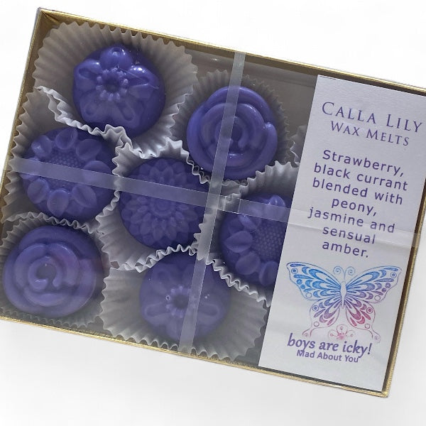 Boys Are Icky Pack of 9 Wax Melts in a packaged box of 9 wax melts