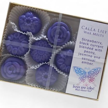 Boys Are Icky Pack of 9 Wax Melts in a packaged box of 9 wax melts