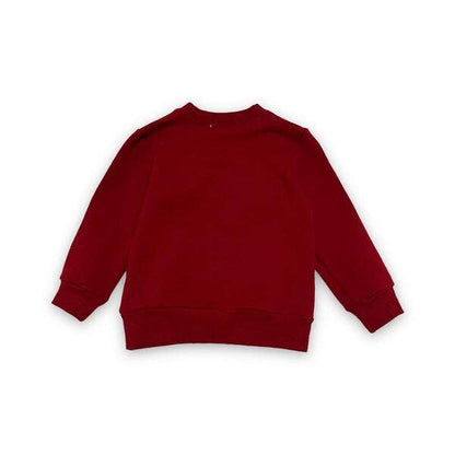 Red sweatshirt on a white background