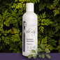 Burdock Root Shampoo