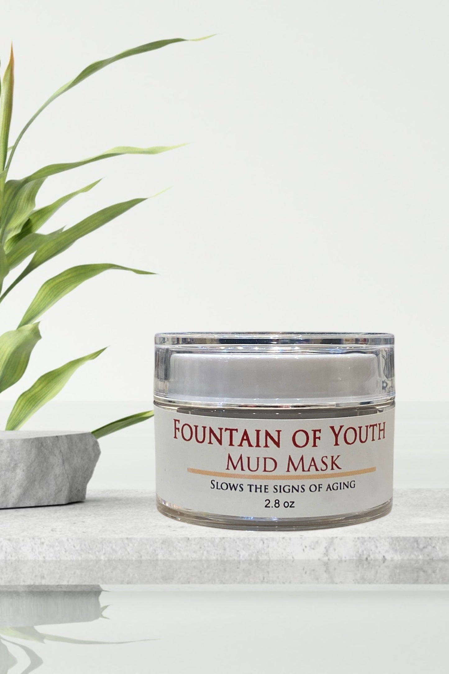 Fountain of Youth Mud Mask