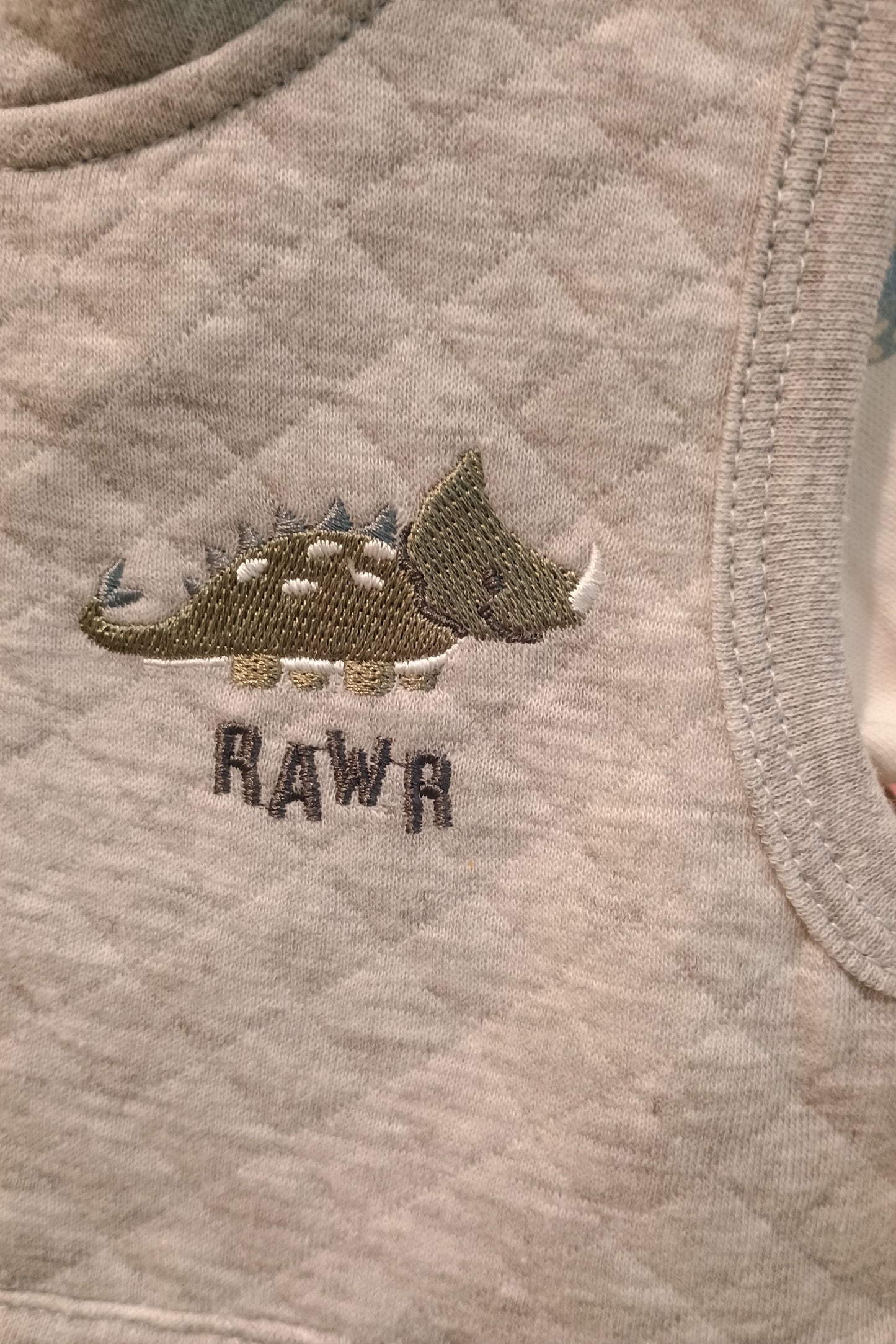 Dinosaur with "rawr"