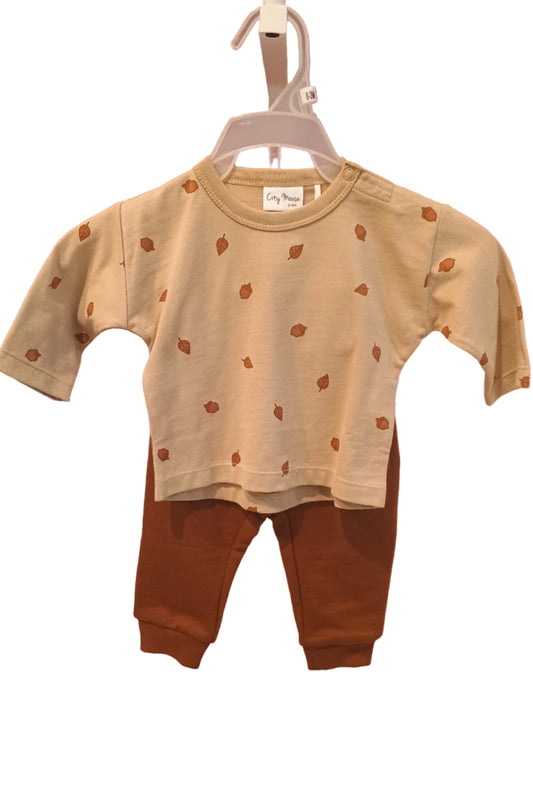 Baby 2 piece set with acorns on shirt and white background.