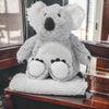 Koala 13" Warmie