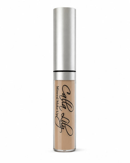 Buff- Wise Disguise Concealer
