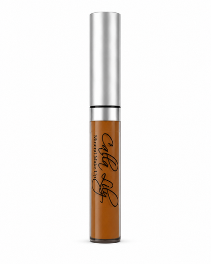 Mocha- Wise Disguise Concealer