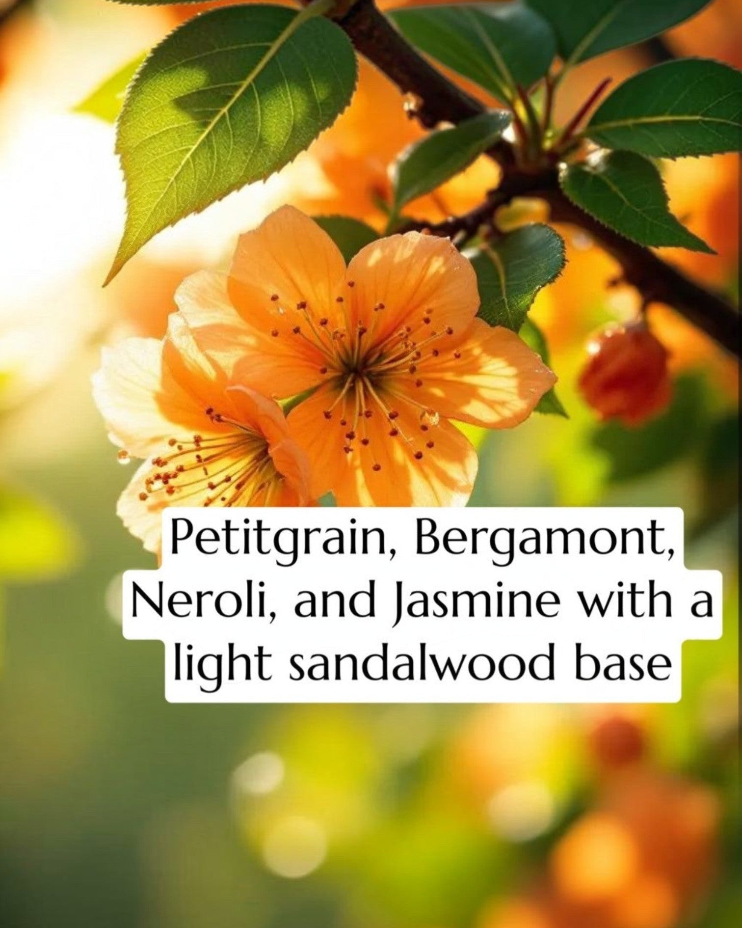 Close-up of orange flowers with green leaves and text overlay about essential oils.