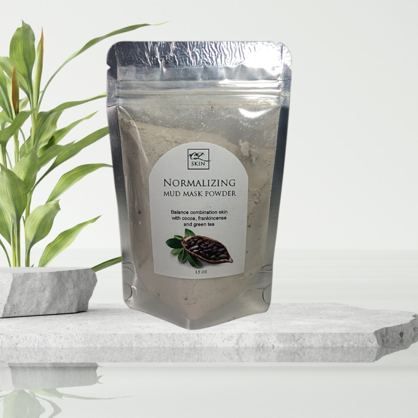 Normalizing Mud Mask Powder