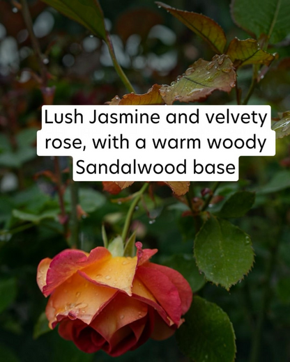 Rose with text overlay describing fragrance notes