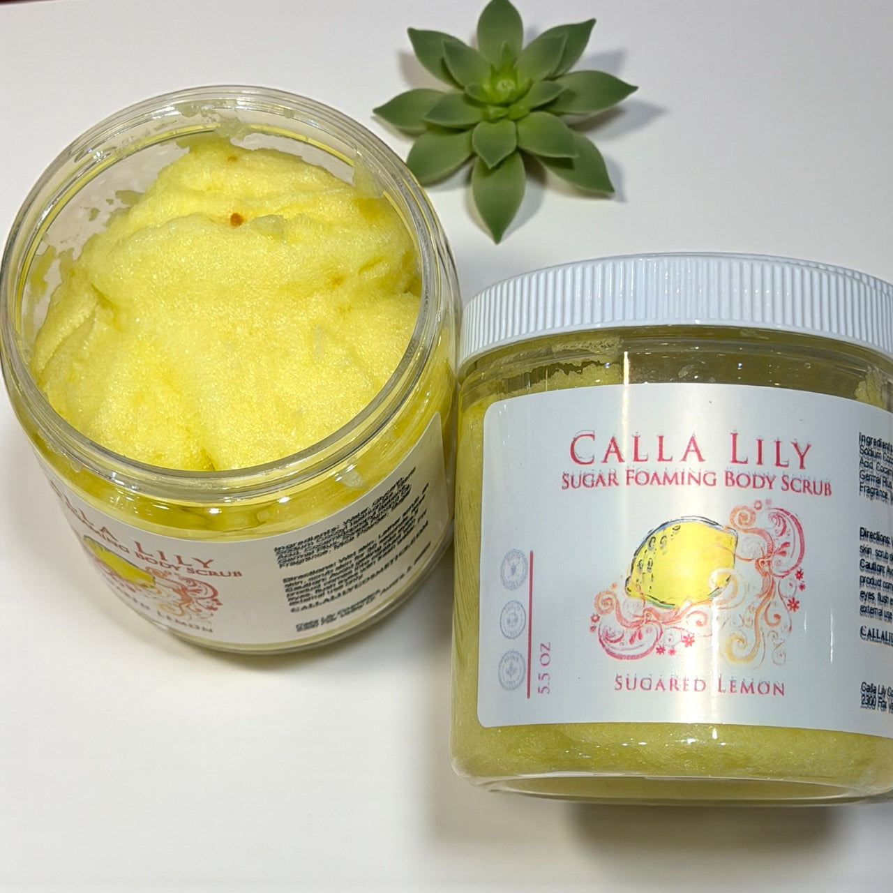 Jar of Calla Lily Sugar Foaming Body Scrub with a succulent plant on a white background
