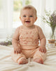 Calla Lily Cosmetics + CL kids baby 3-piece set: peach seashell print bodysuit, striped bodysuit with pufferfish, and peach pants with starfish accent.
